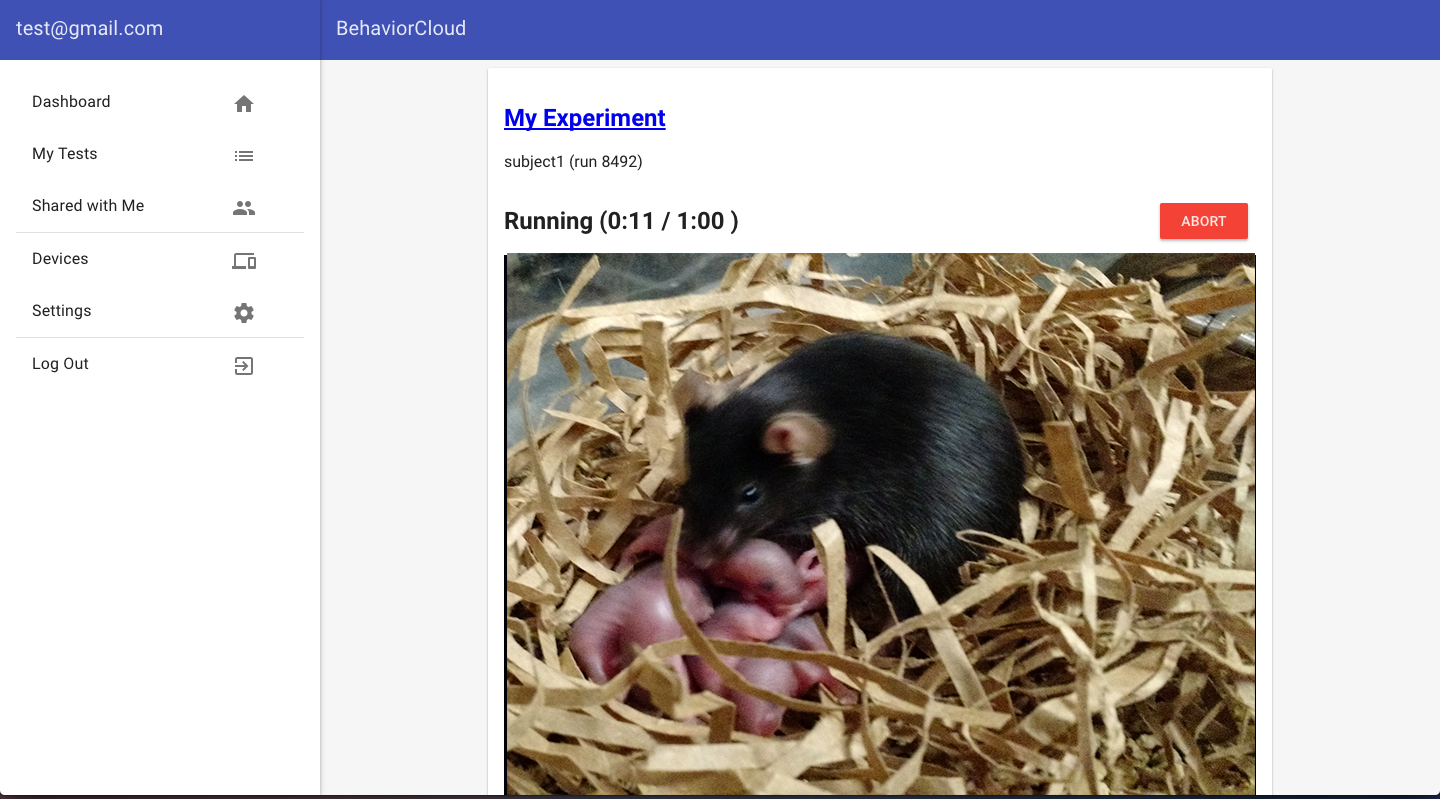 Example of video recording of mouse maternal behavior