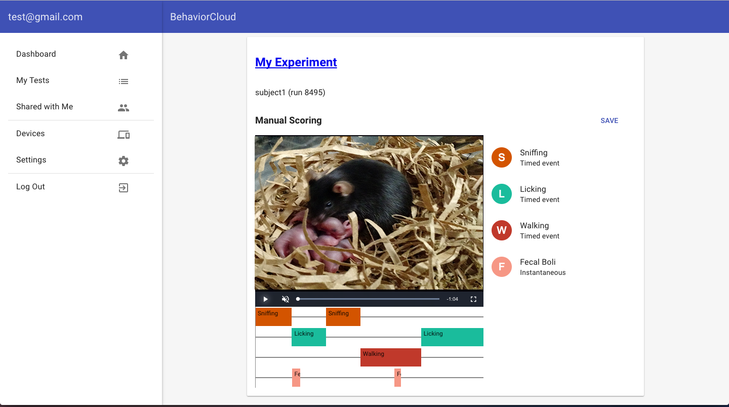 Example of scoring interface