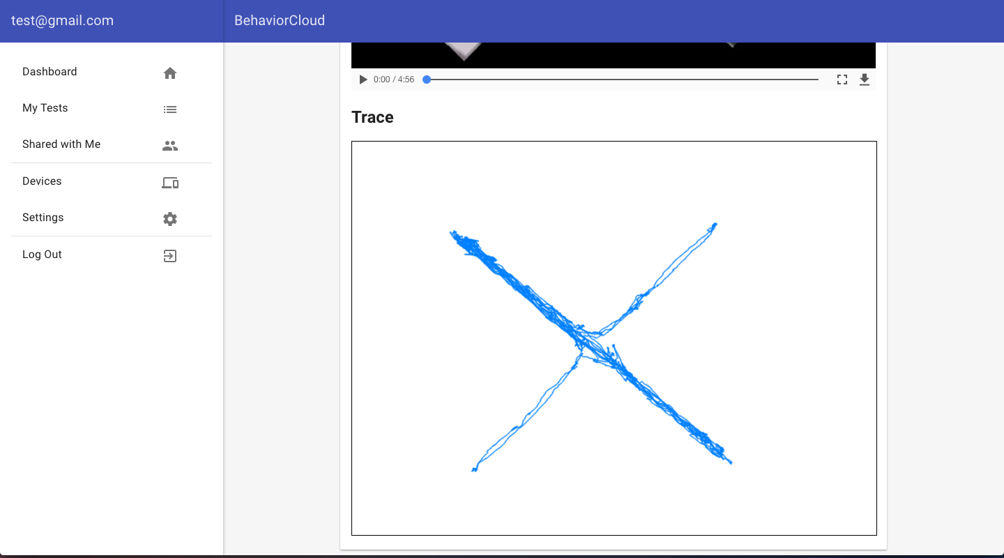 Trace of mouse movement in elevated plus maze test