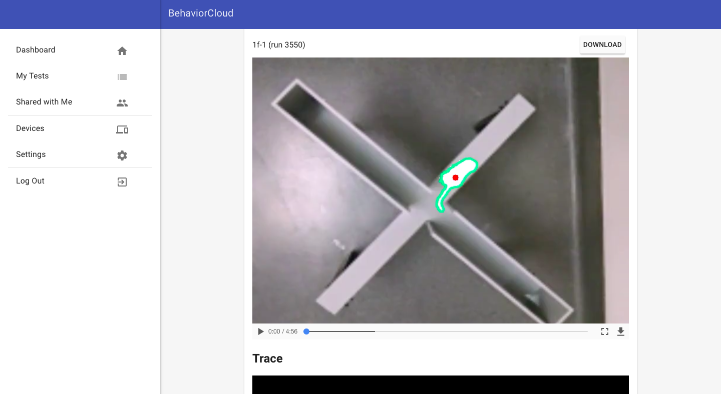 Tracked video of mouse in elevated plus maze