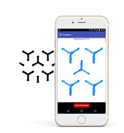 Drosophila tracking video played in BehaviorCloud